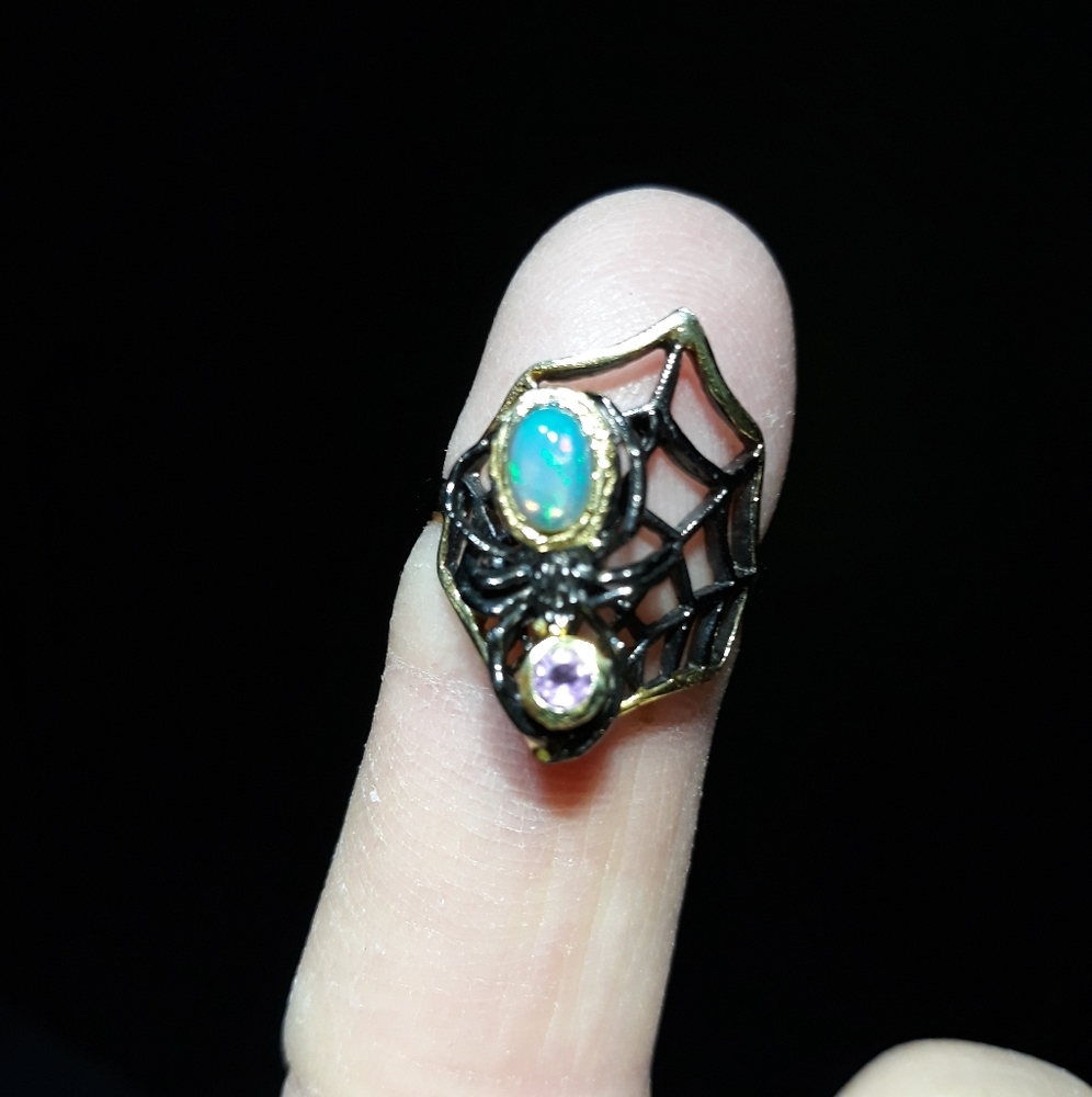 Spider in the Web Ring d5